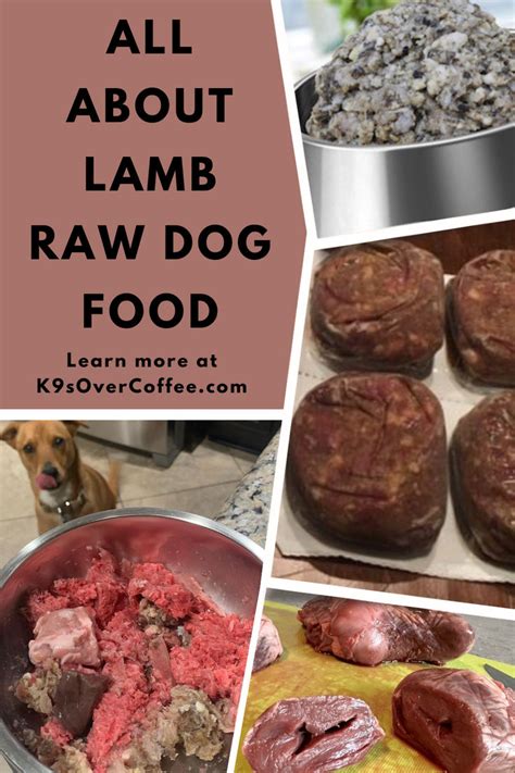 Feed Dog Raw Lamb