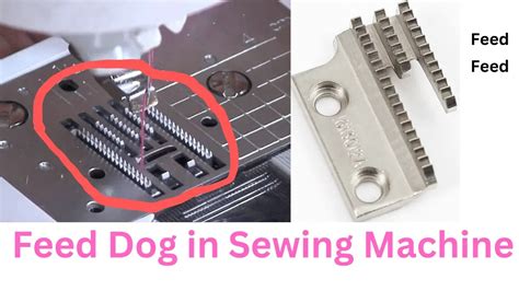 Feed Dog Sewing Machine