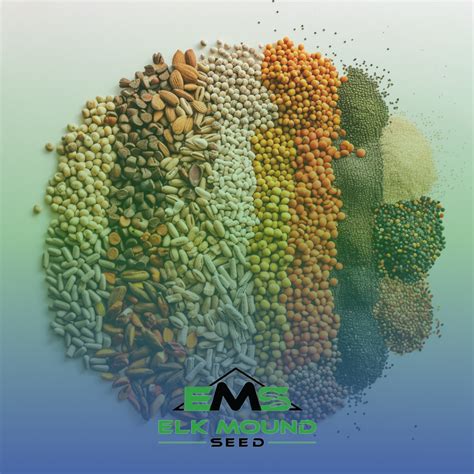 feed on seed