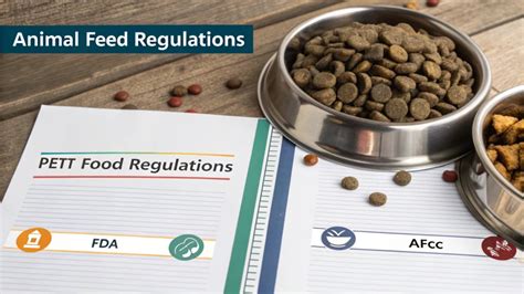 Feed Regulations Uk