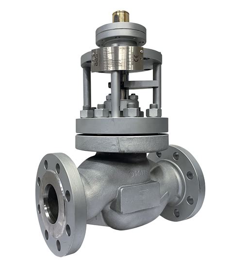 Feed Water Control Valve