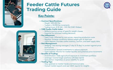 Feeder Cattle Future Quotes