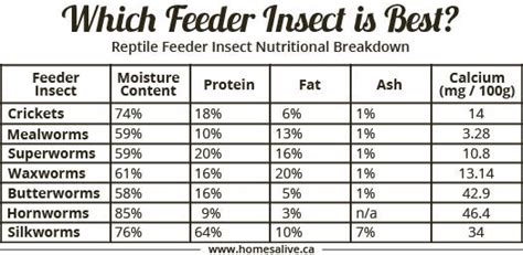 Feeder Insect Nutrition Chart