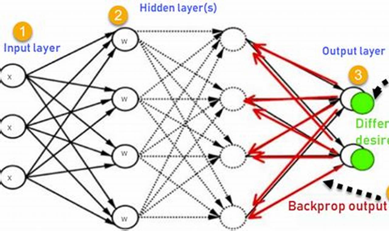 feedforward neural network vs backpropagation
