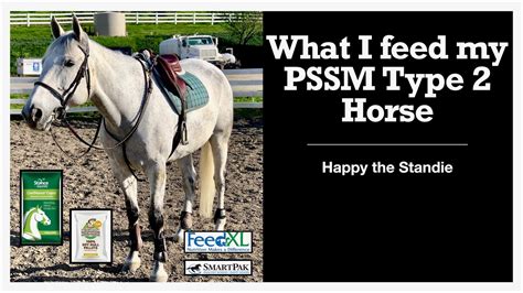 feeding a horse with pssm