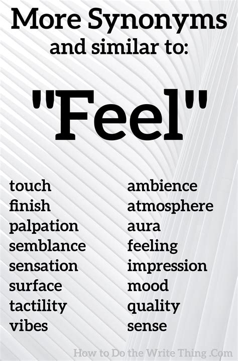 feel belonged synonym