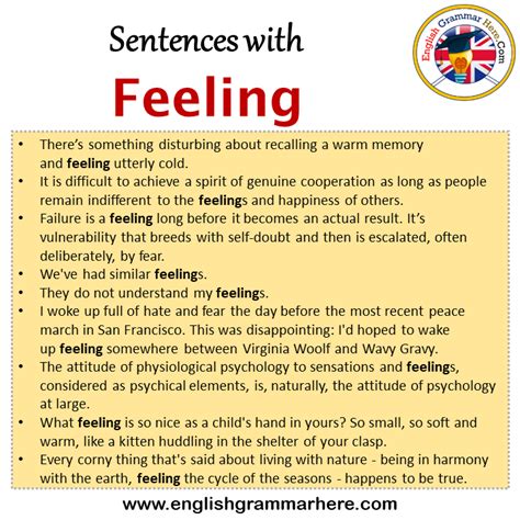 feel in a sentence examples