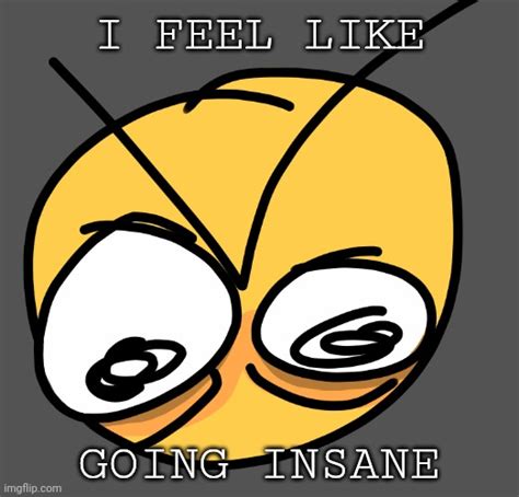 feel like going insane