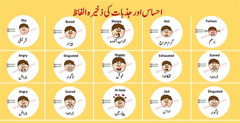 feel meaning in urdu with example
