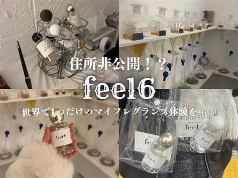 Feel6 User Testimonials