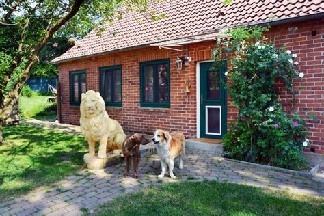 SteuerbordHaus strandnaher Hundeurlaub im ruhig gelegenen Ferienhaus
