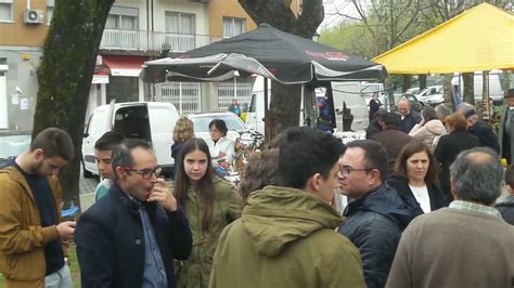 feira de velharias de vila verde