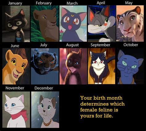 Feline Meme Since 2006