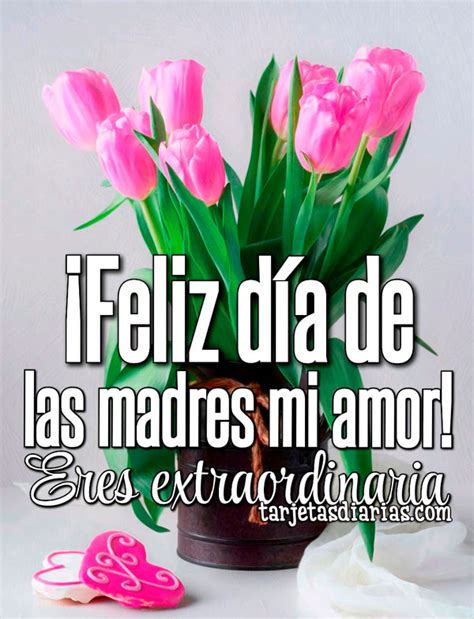 feliz dia de las madres mi amor