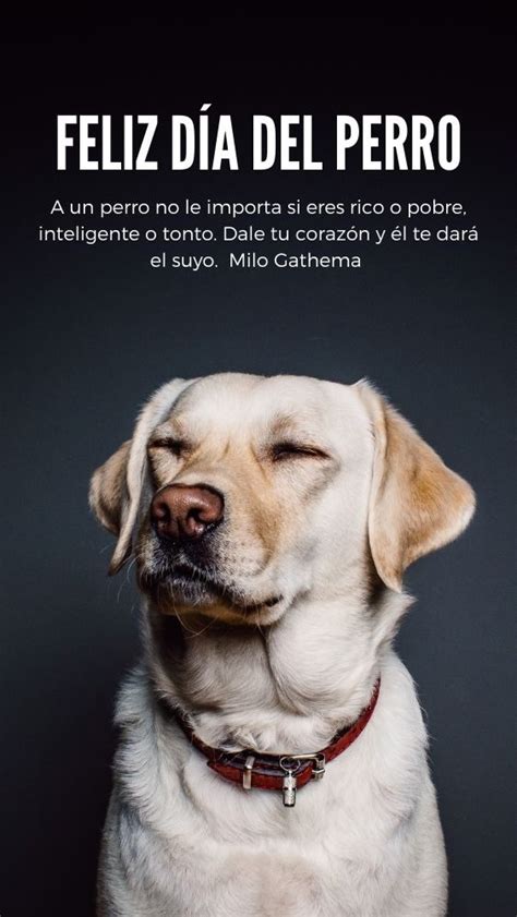 feliz dia del perro