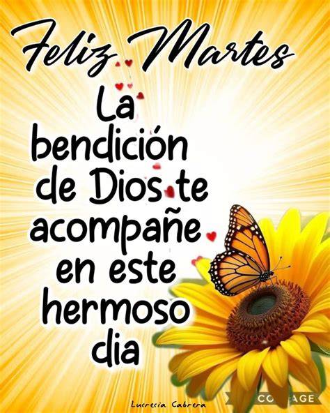 Feliz Martes 🌷 ️🌷 lleno de Muchas Bendiciones 🙏👑 ️ Feliz martes
