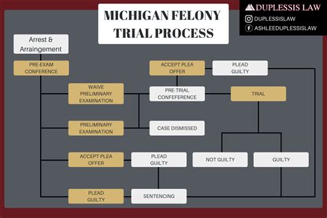 felony court process