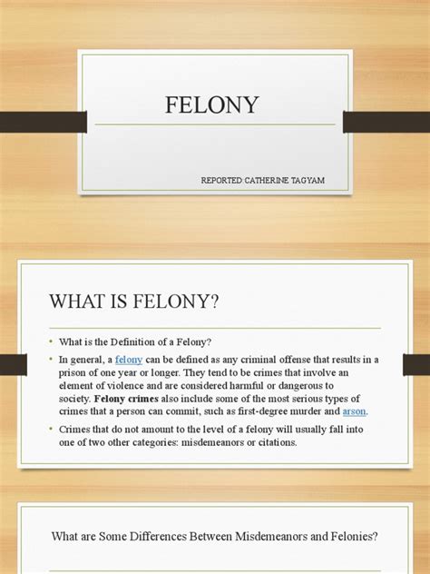 felony fellatio 2