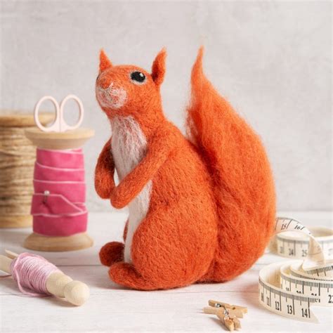 Felted Wool Squirrel Kit