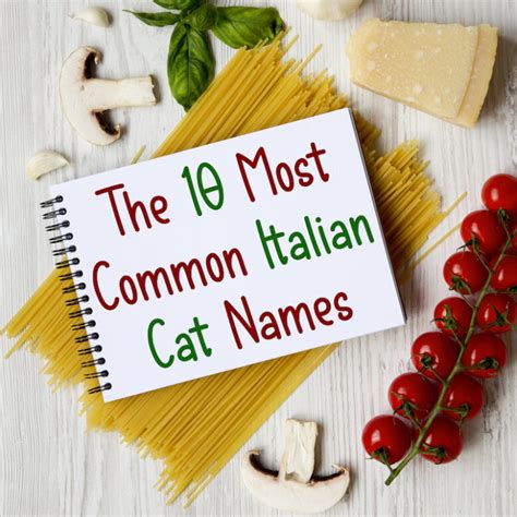 female cat names in italian