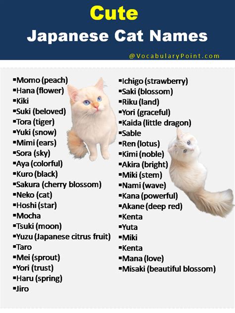 Female Cat Names in Japanese