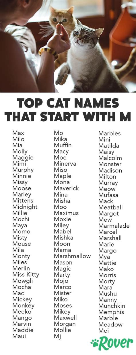 Female cat names that start with m