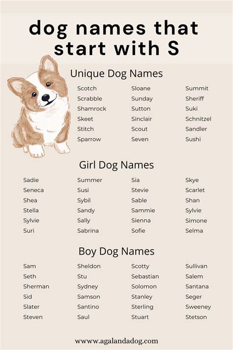 female dog names beginning with s