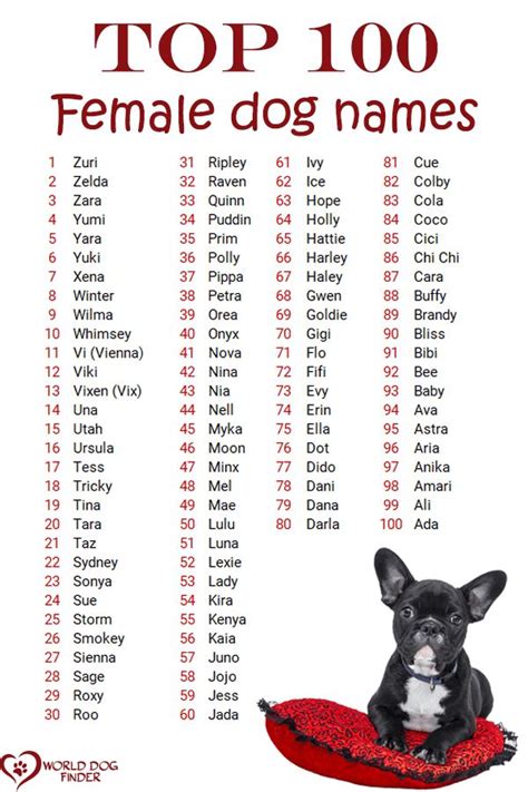 Female Dog Names with Meaning