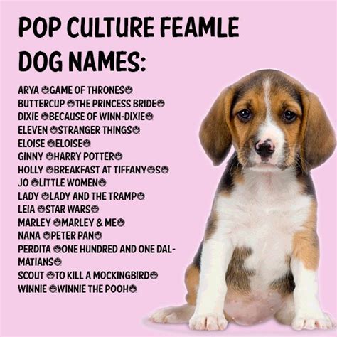 Female Dog Names with Meaning Protector