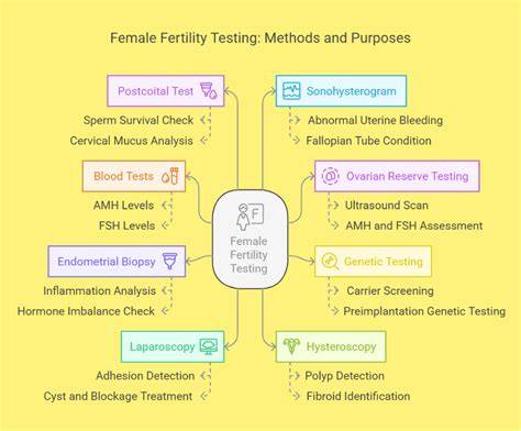 Female Fertility Test Belfast