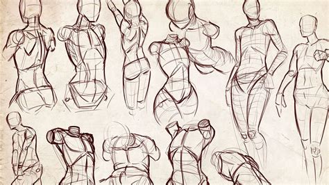 Female figure drawing techniques