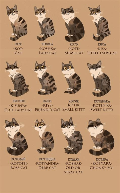 female russian names for cats