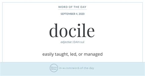 Femme Docile Definition