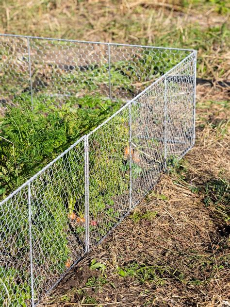 fence for critter control