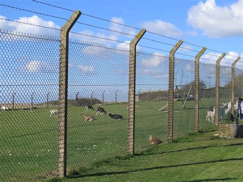 fence height to keep coyotes out