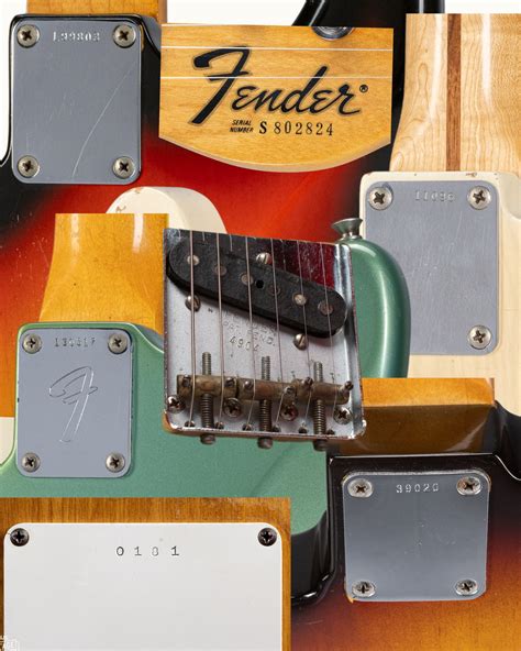 Fender Serial Number Cxs