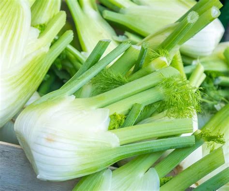 Fennel Oil Substitute