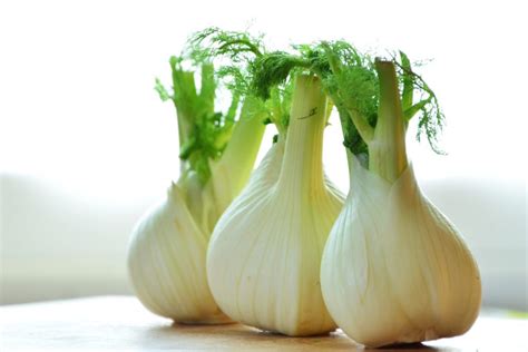 Fennel Replacement Vegetable