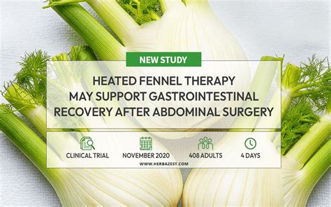 Fennel Tea After Surgery