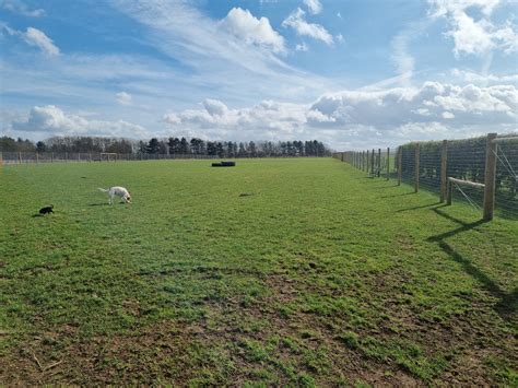 Incredible Fenstanton Secure Dog Field Going Viral