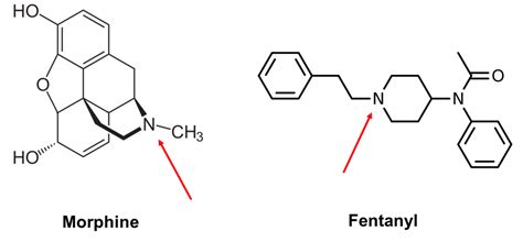 fentanyl vs morphine structure