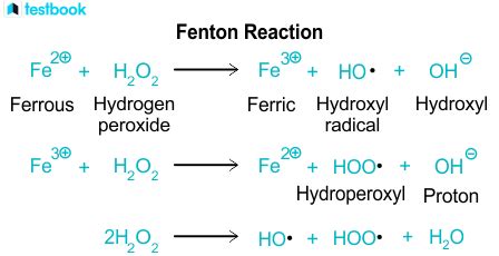 fentn and its mechanism of action
