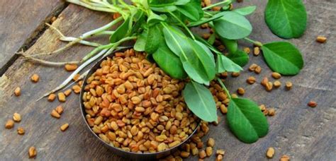 Fenugreek Seed Problems