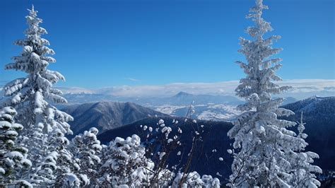 Chiuso per ferie Cicchetta