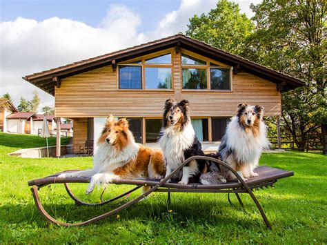 Ferienhaus Blockhaus Bayerischer Wald mit Hund hunderlaubt