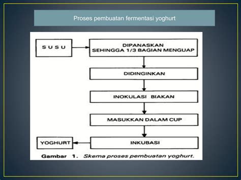 Proses Fermentasi