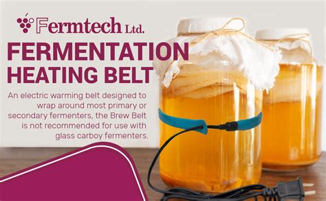 Fermentation Belt