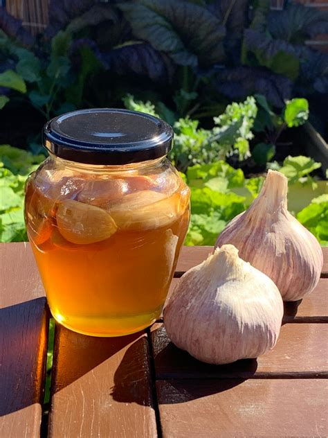 fermented garlic honey dangers