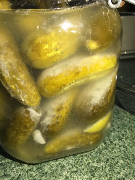 Fermented Pickles Smell Bad