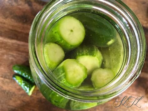 Fermented Pickles Soft